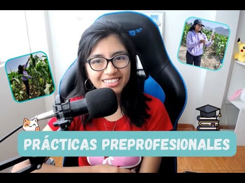 como pedir practicas profesionales a una empresa