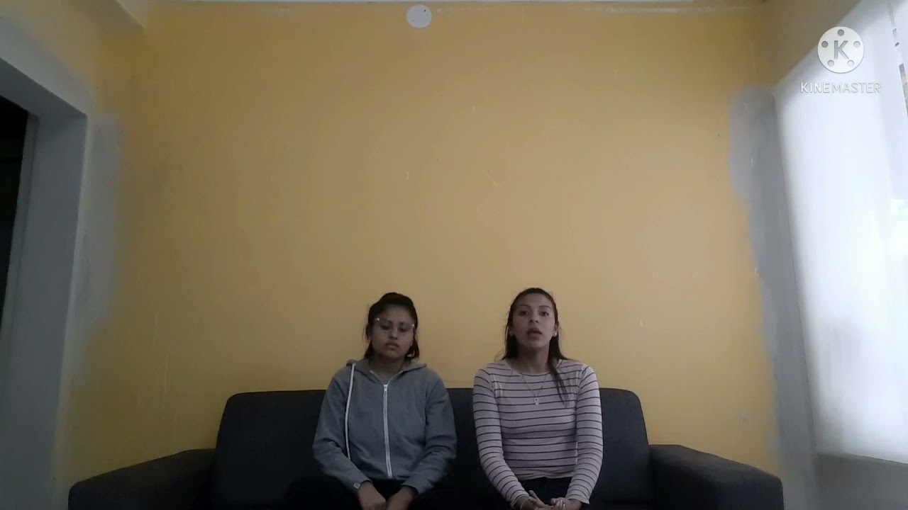 el positivismo en la educacion argentina