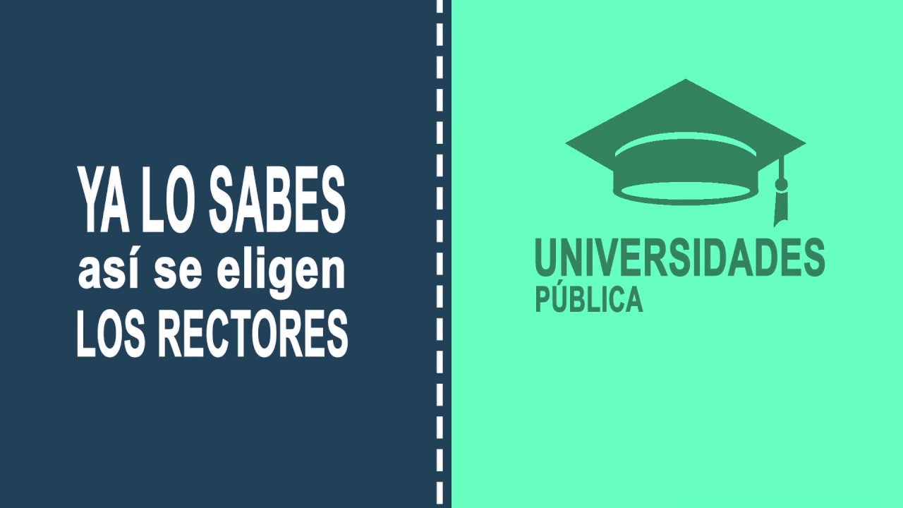 persona facultada para sustituir a un rector
