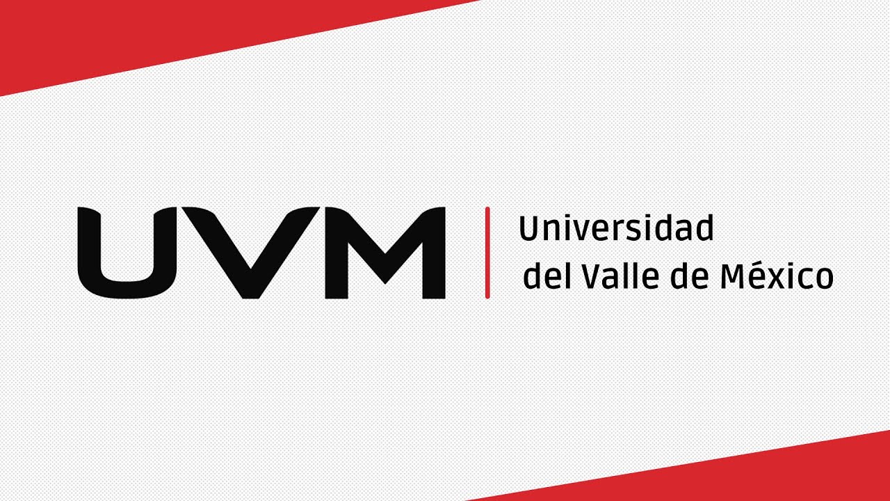 principios del modelo educativo en línea uvm