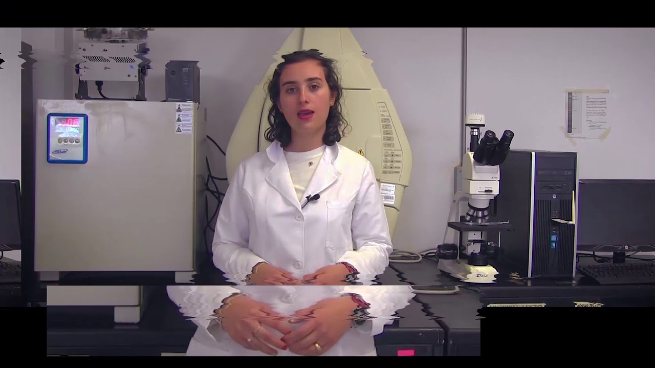 a que se dedica la ingenieria bioquimica