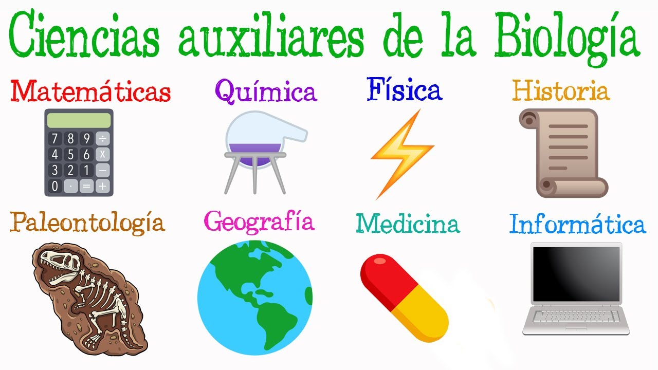 ciencias auxiliares de la biologia y que estudian