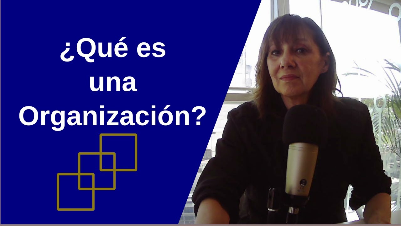 cuáles son las características de una organización