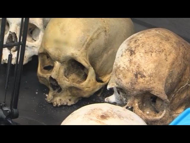 escuelas de medicina forense en cdmx