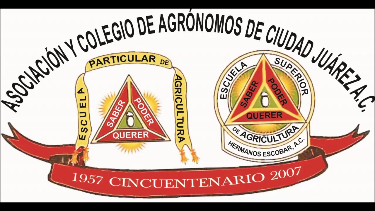 ley de profesiones para el estado de chihuahua