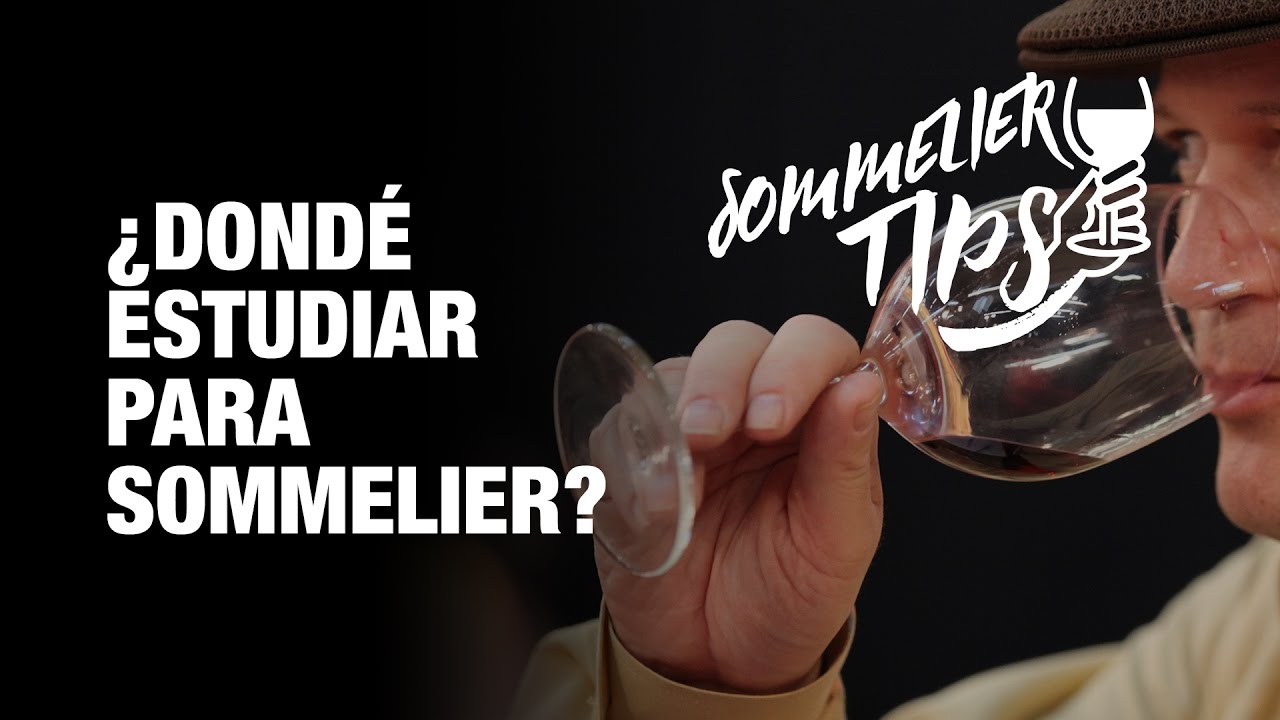 que estudiar para ser catador de vinos