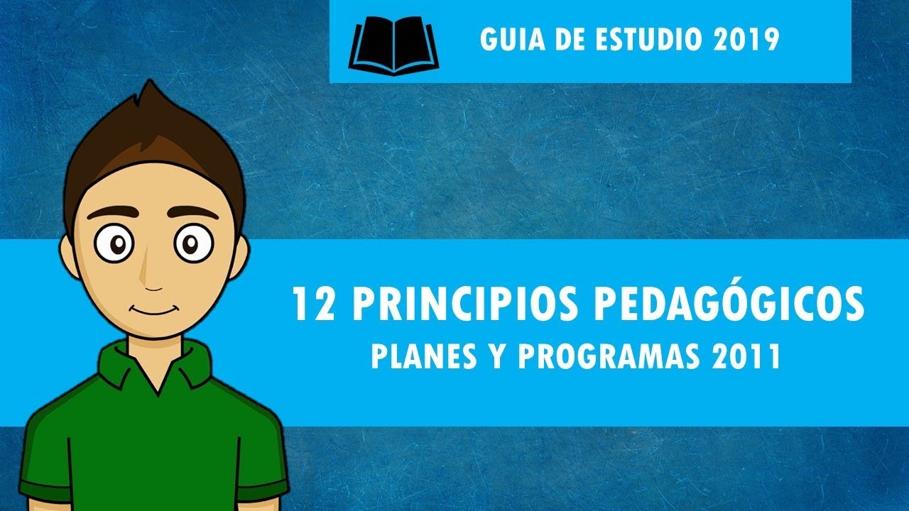 12 principios de la educacion basica