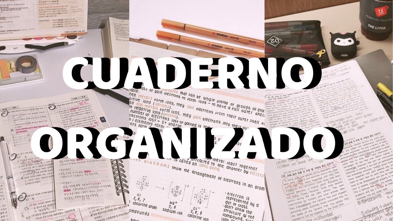 como organizar un cuaderno de clase