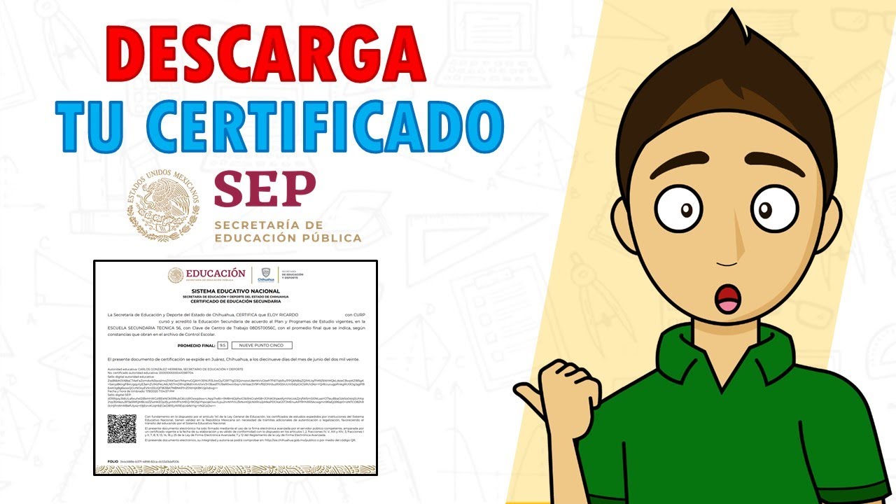 como saber mi nia por internet