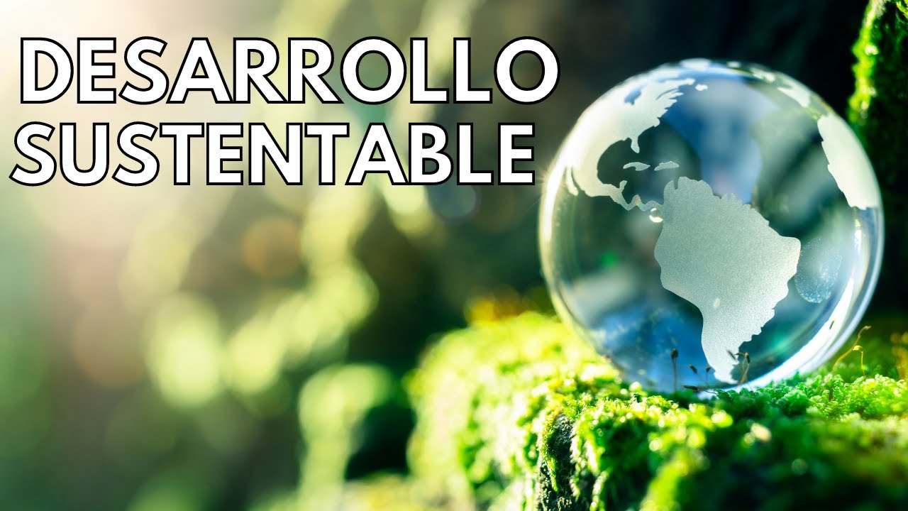 cuáles son los principios de la sustentabilidad