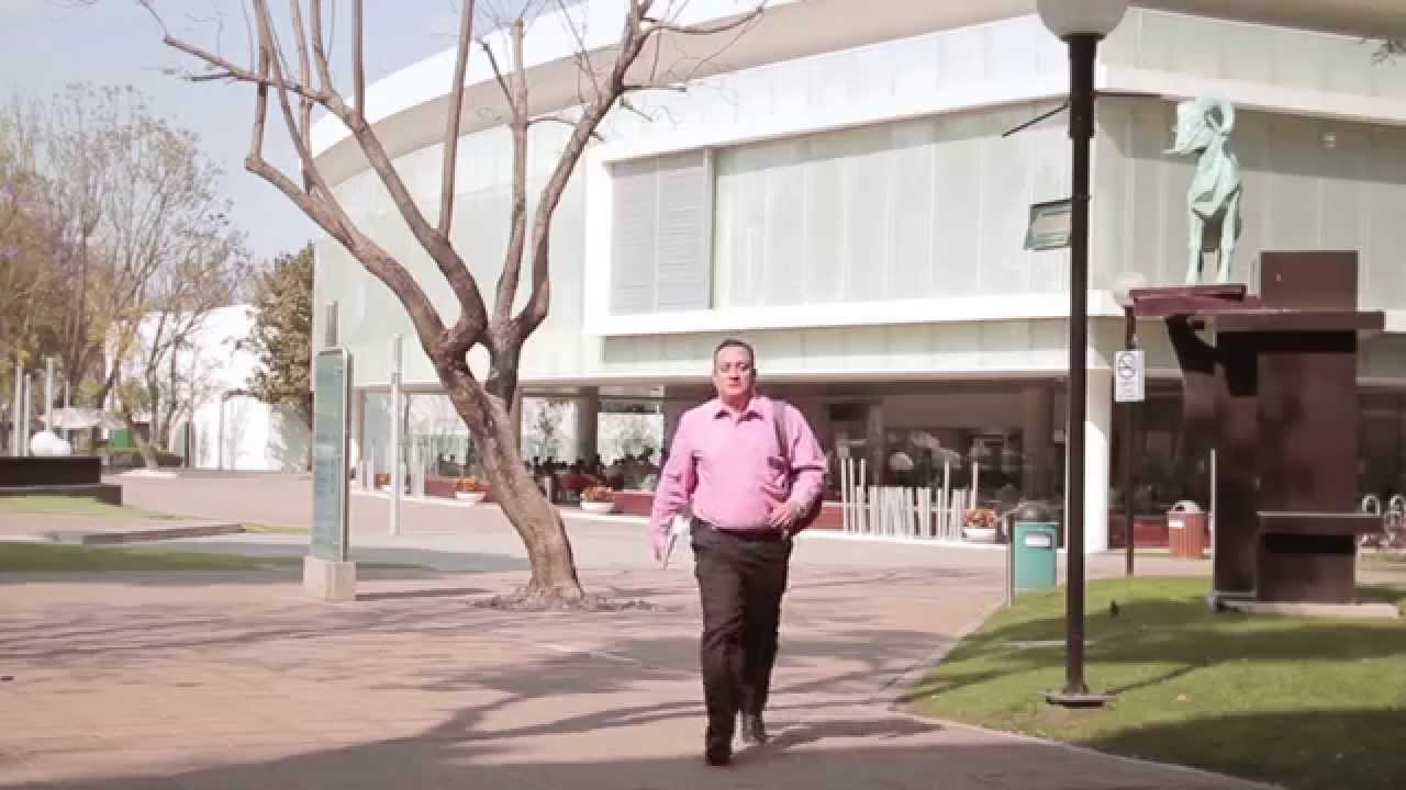maestria en sistemas de calidad y productividad