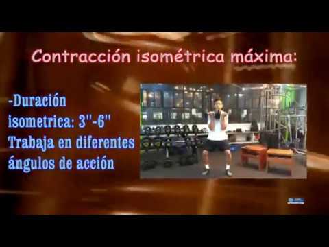 metodos de entrenamiento de la fuerza en educacion fisica