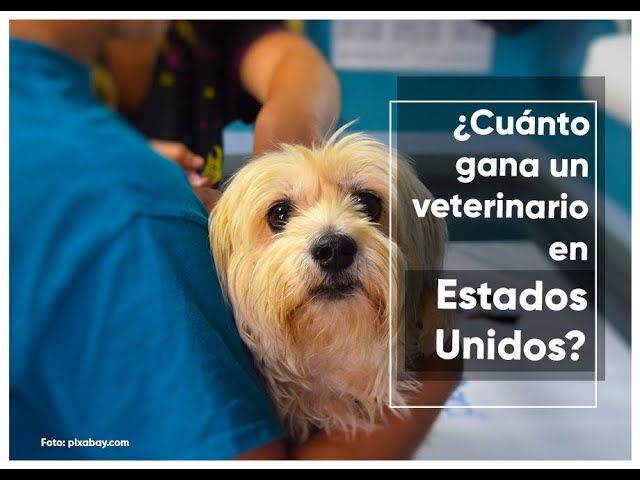 sueldo de un veterinario en estados unidos