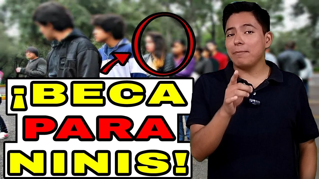 cual es la beca de los ninis