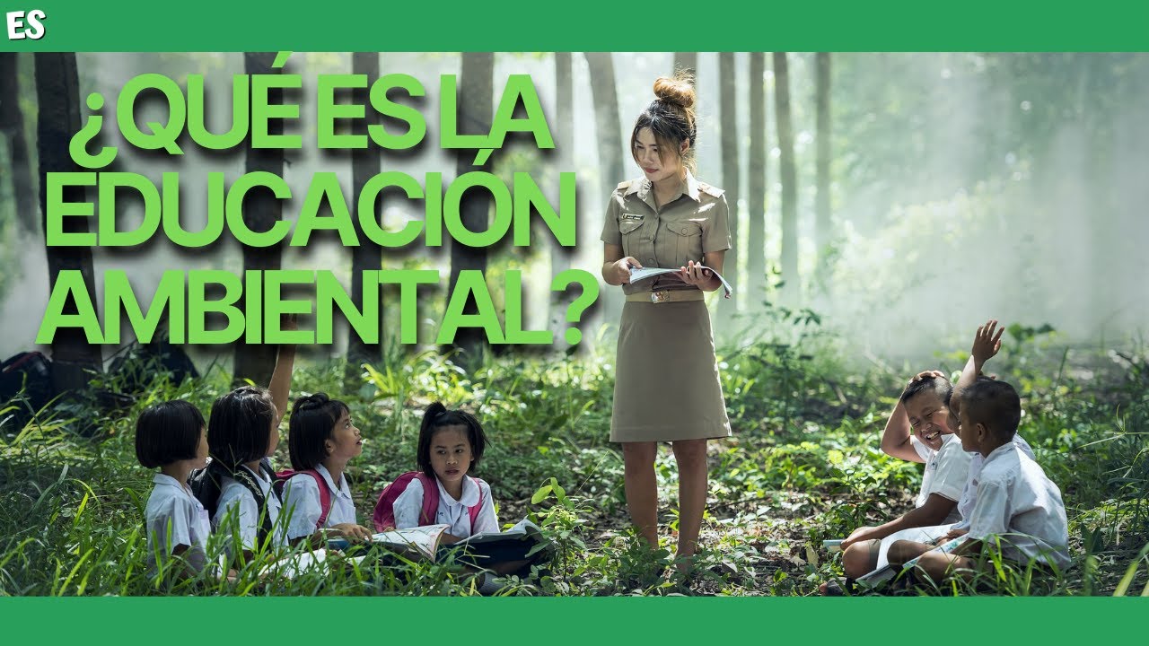 cuales son los elementos de la educacion ambiental