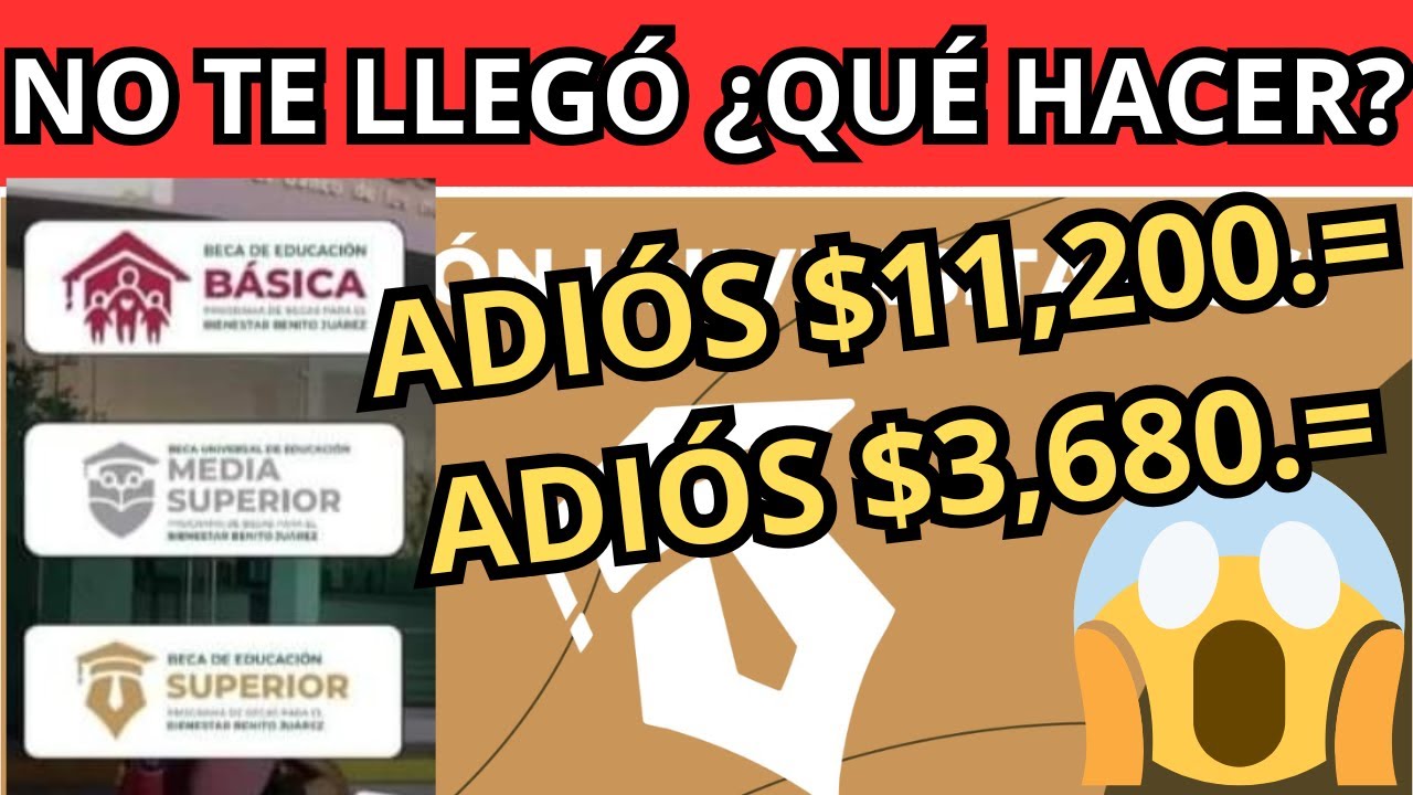 por que no me llega la beca