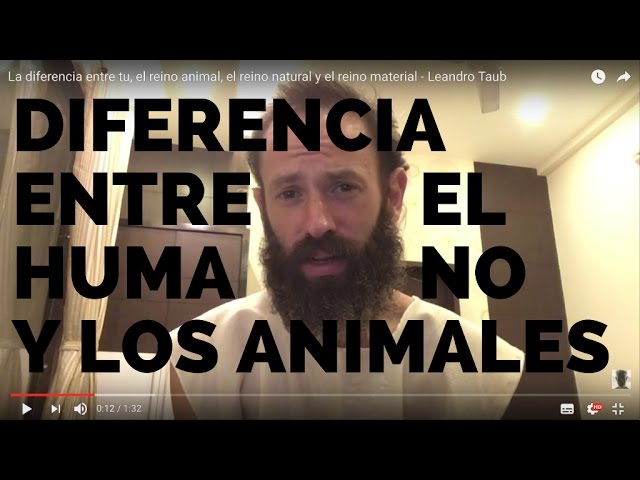 que diferencia hay entre los seres humanos y los animales