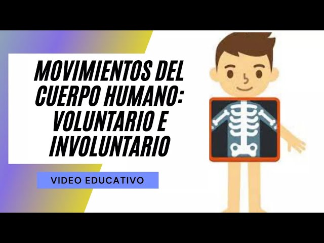 qué parte del encéfalo ordena los movimientos voluntarios