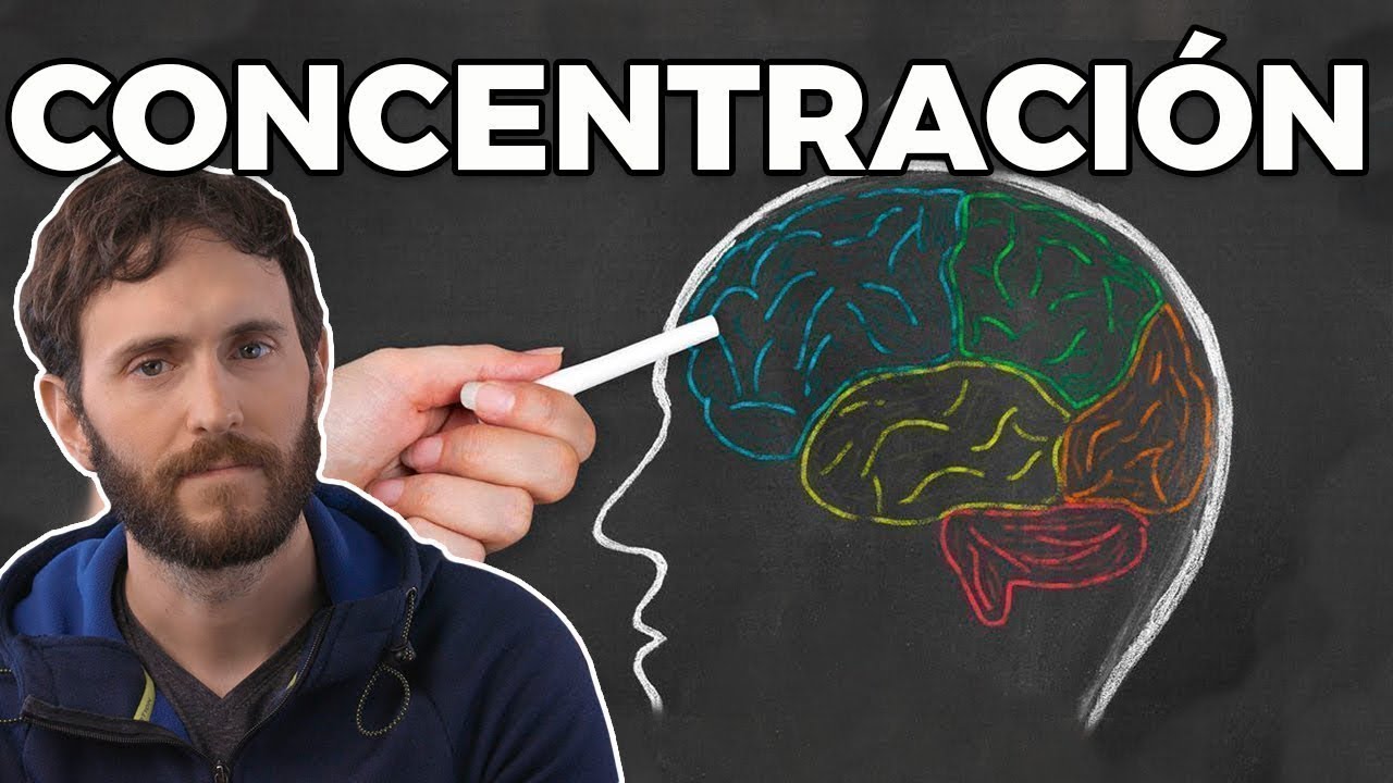 que poner en nivel maximo de estudios