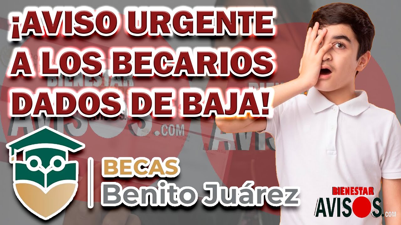 si me doy de baja temporal me quitan la beca