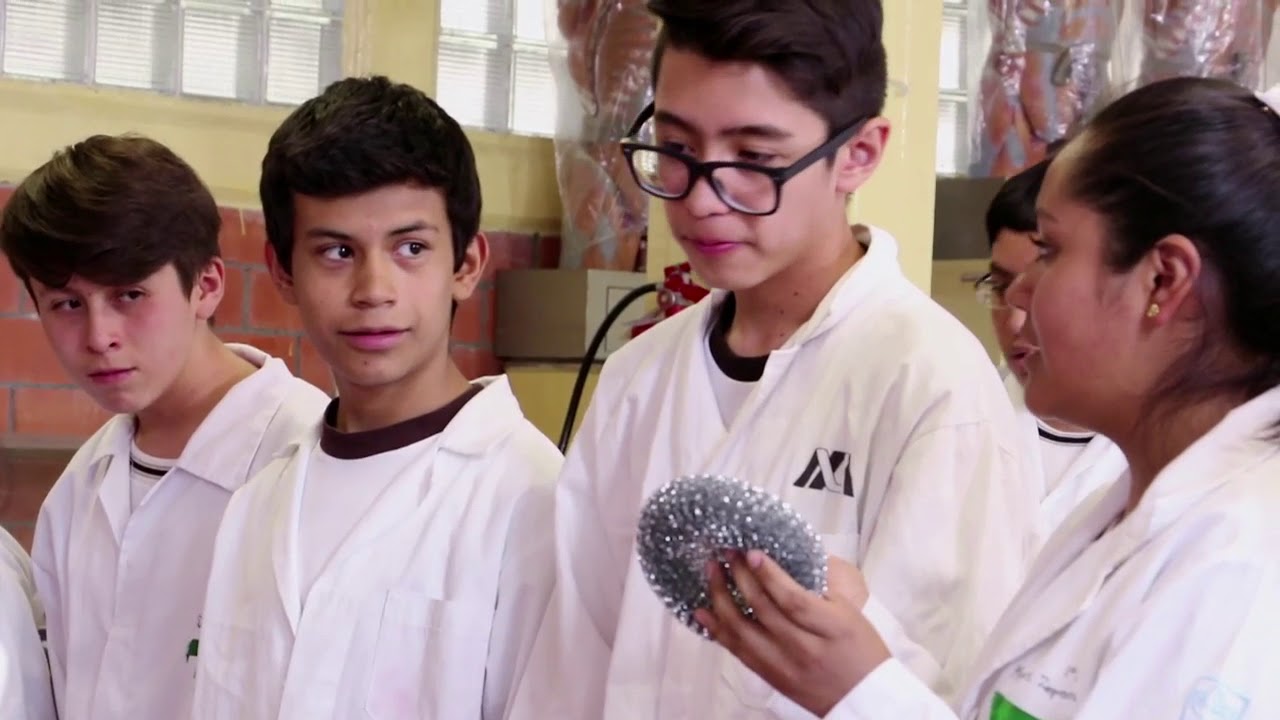 11 rasgos del perfil de egreso