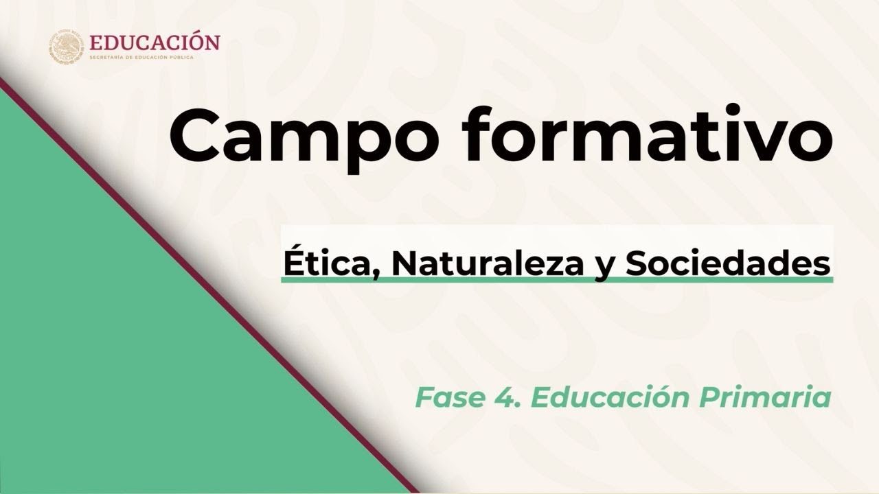 campo formativo de formacion civica y etica primaria