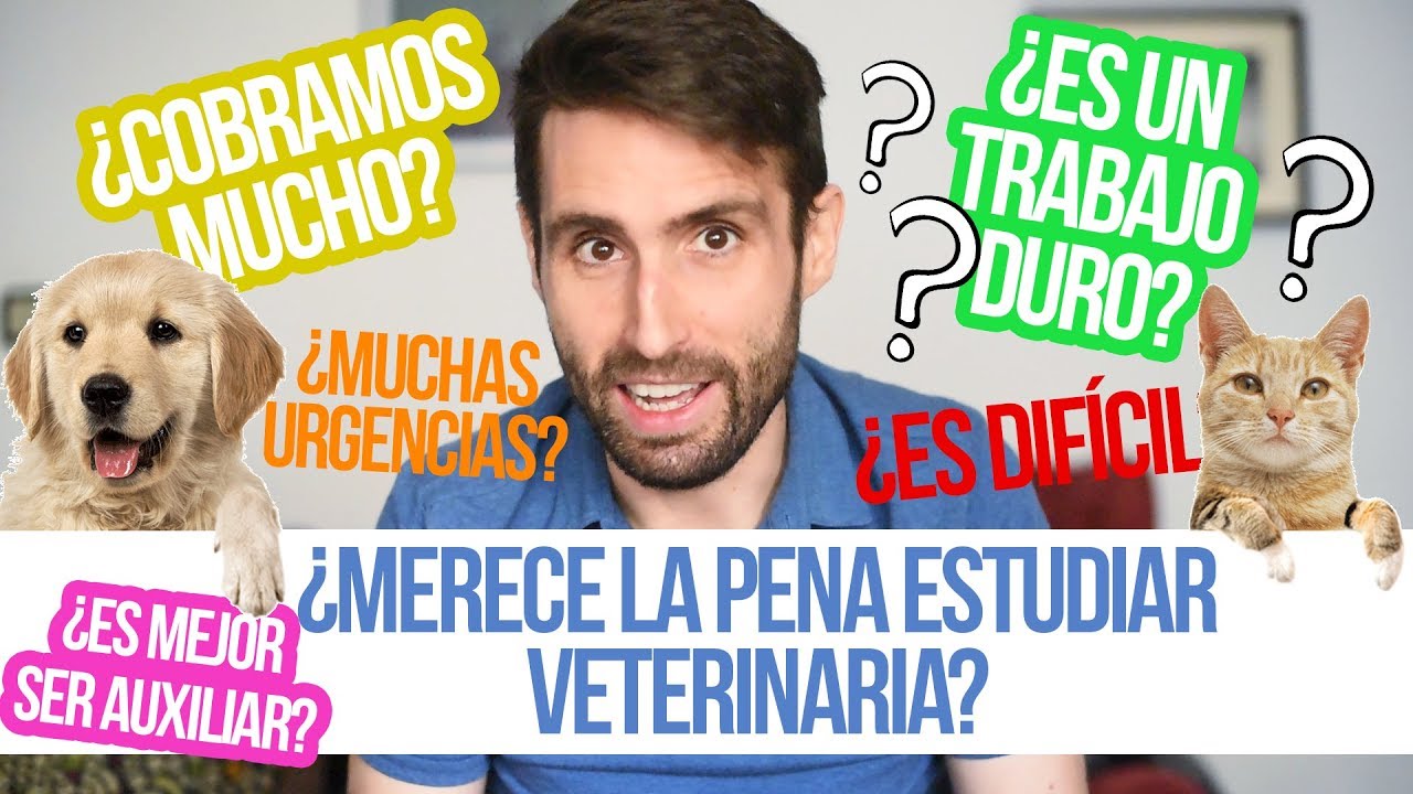cuanto le pagan a los veterinarios