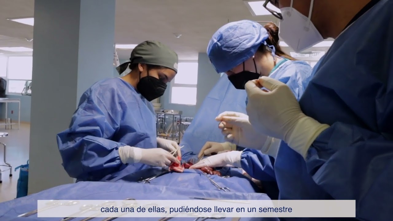 donde estudiar medicina en leon gto