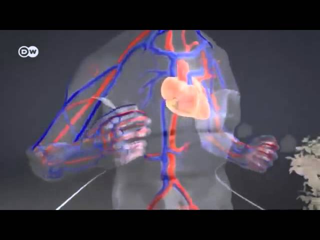 la importancia de la fisica en la salud