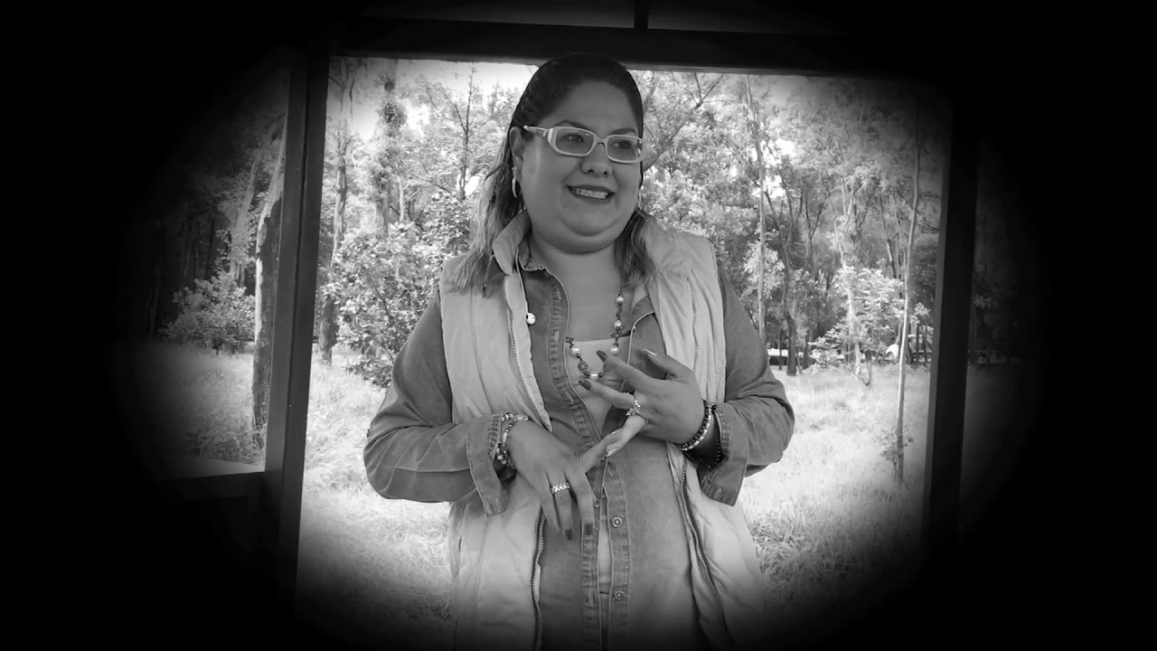 profesionalizacion del trabajo social en mexico