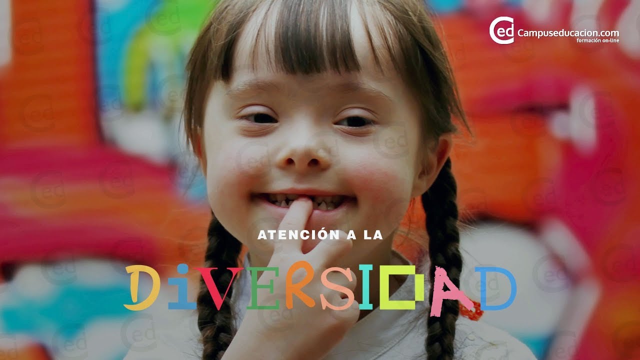 que es la atencion a la diversidad
