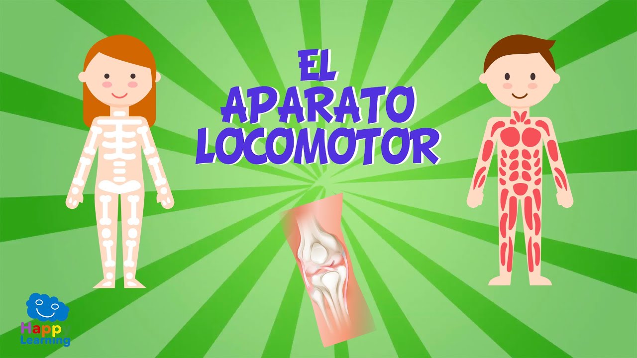 que es movimiento locomotor en educacion fisica