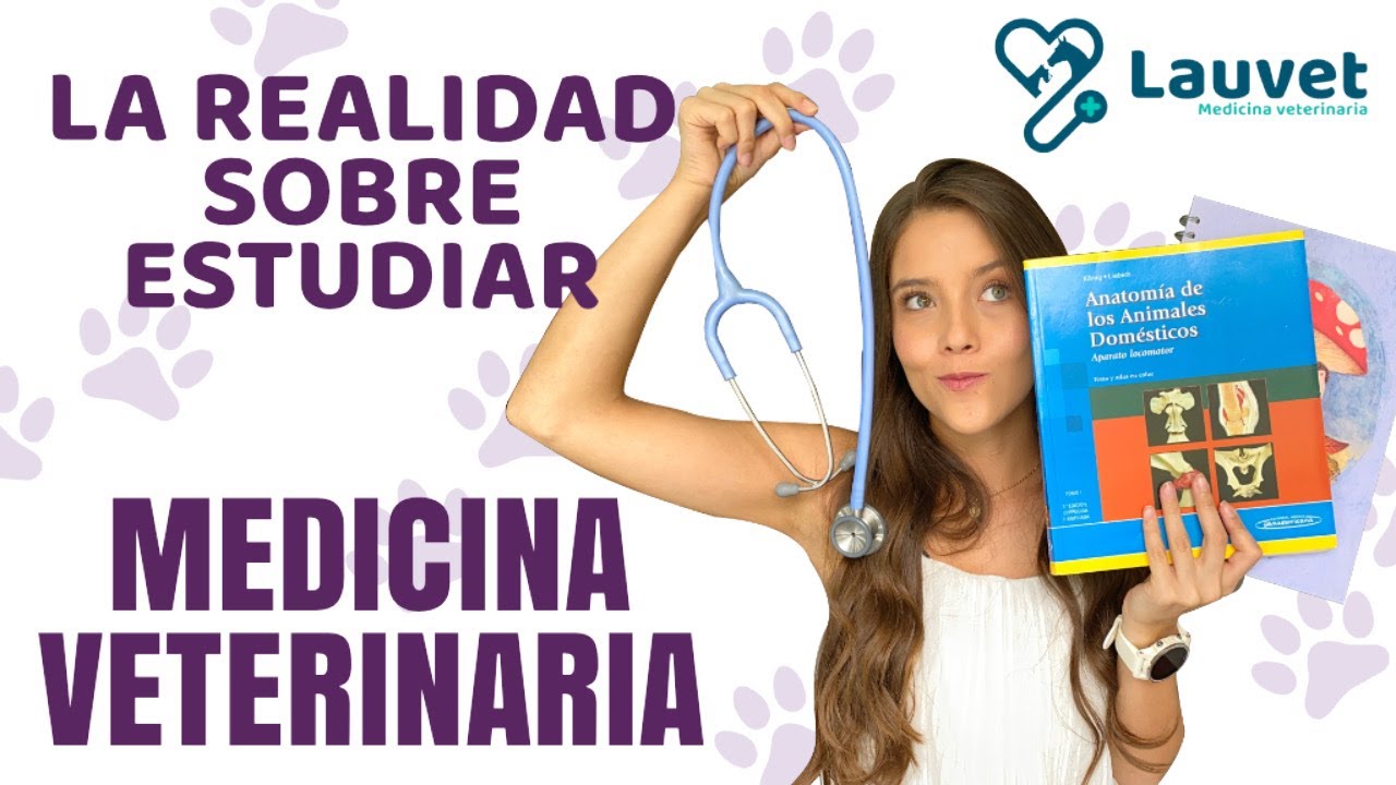 que se estudia para ser veterinaria