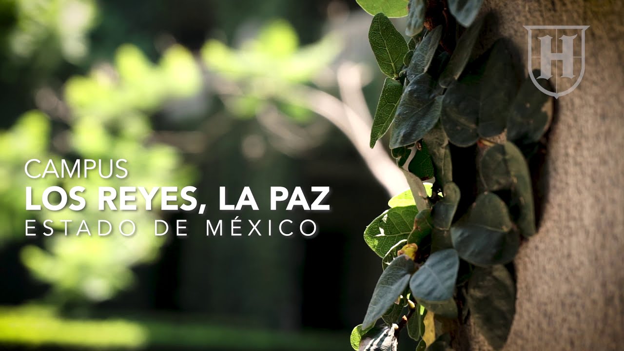 universidades en los reyes la paz