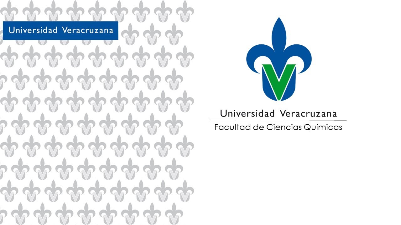 universidades en poza rica de hidalgo veracruz