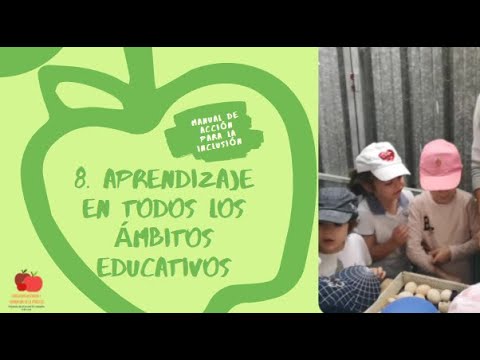 cuales son los 7 ámbitos educativos