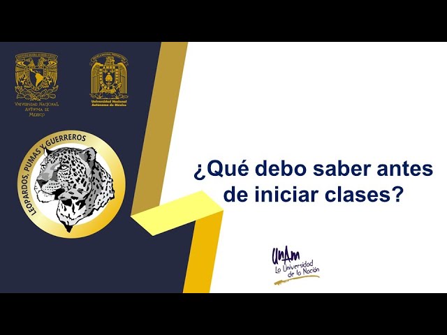 cuantos puntos piden para la prepa 8
