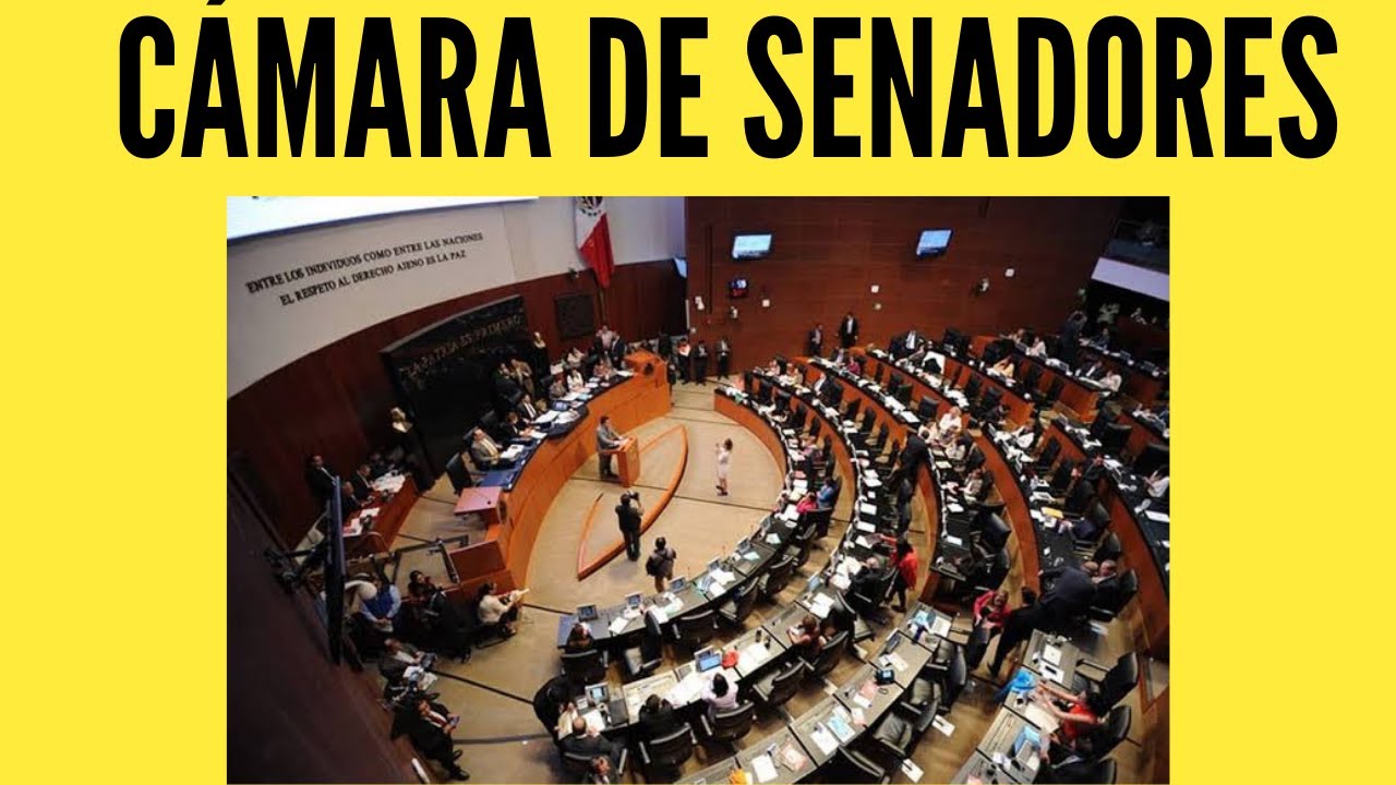 facultades de la camara de senadores
