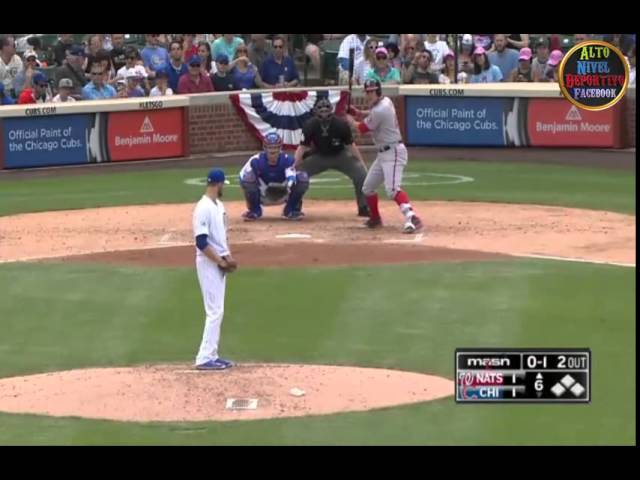 ferrell hirt adriaenséns flores y ramos