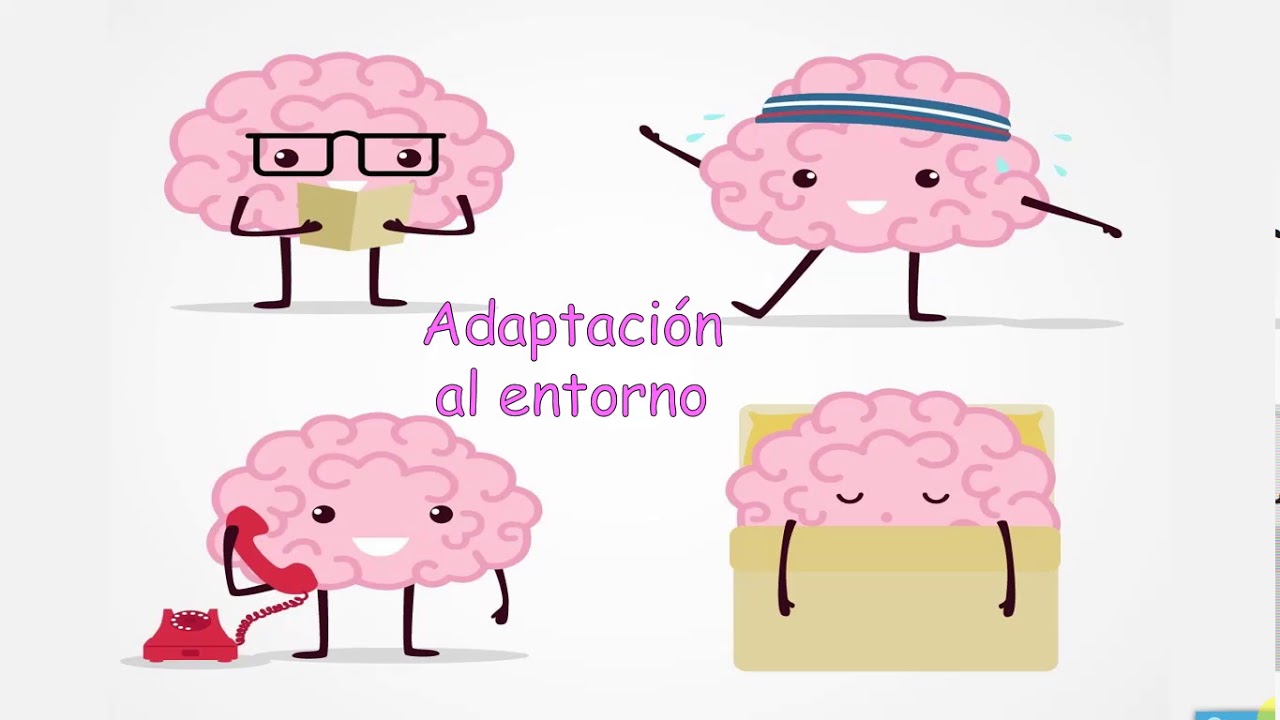 importancia de la educacion socioemocional segun autores