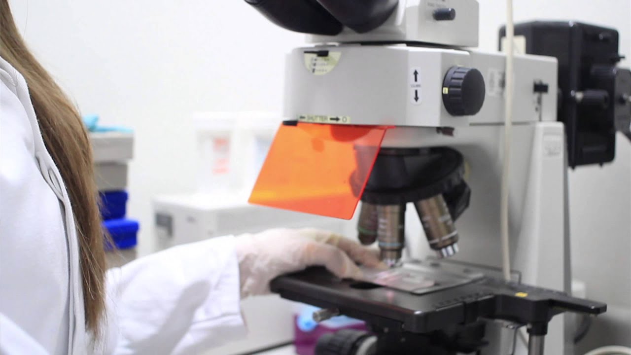 que hace un ingeniero en biotecnologia