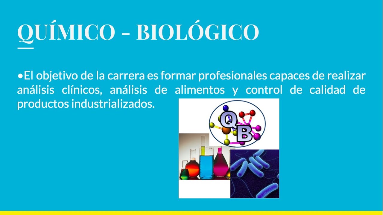 que puedo estudiar con el bachillerato de quimico biologico
