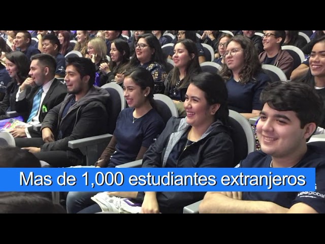 tecnico superior universitario en terapia fisica udg