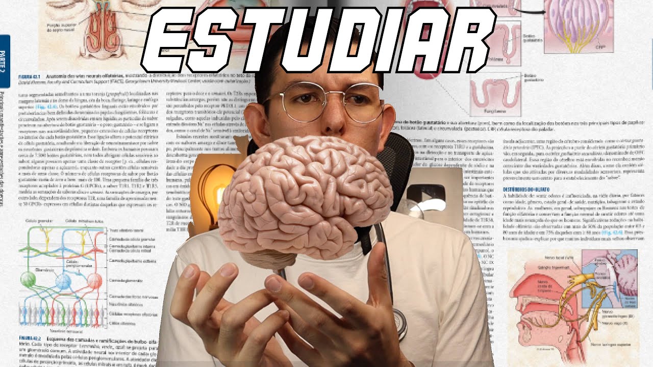 guia de estudio para la universidad