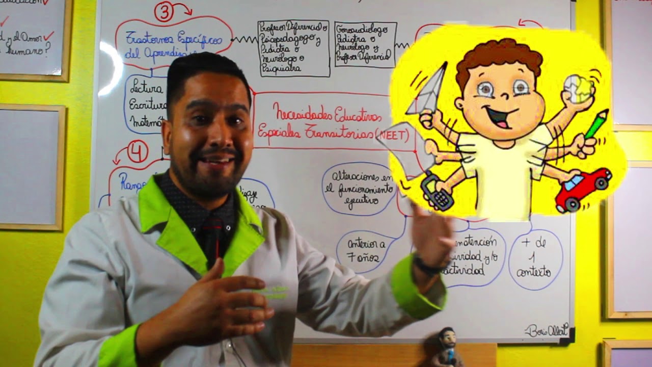 necesidades educativas especiales transitorias y permanentes
