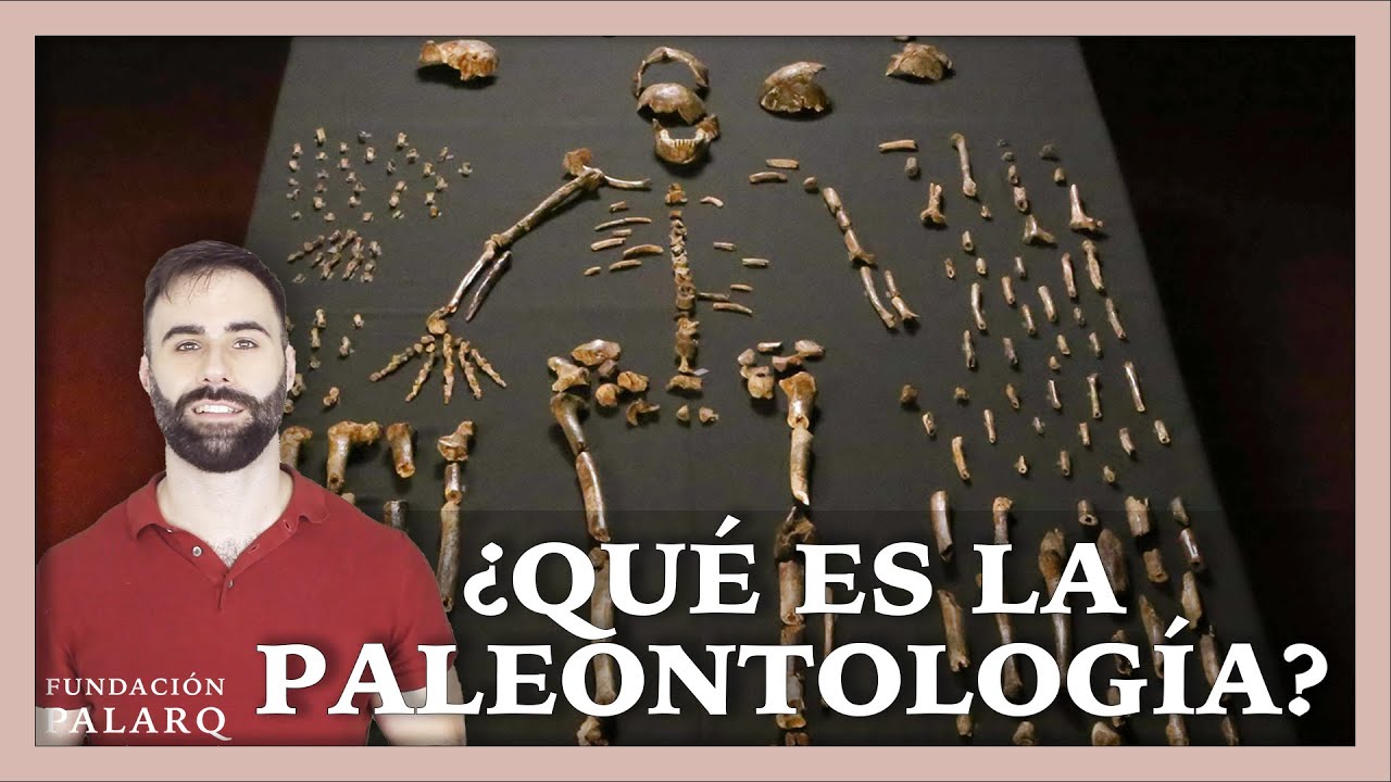 que es un paleontólogo y que hace
