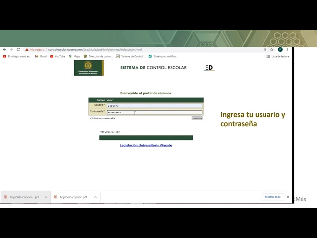 que es una tira de materias