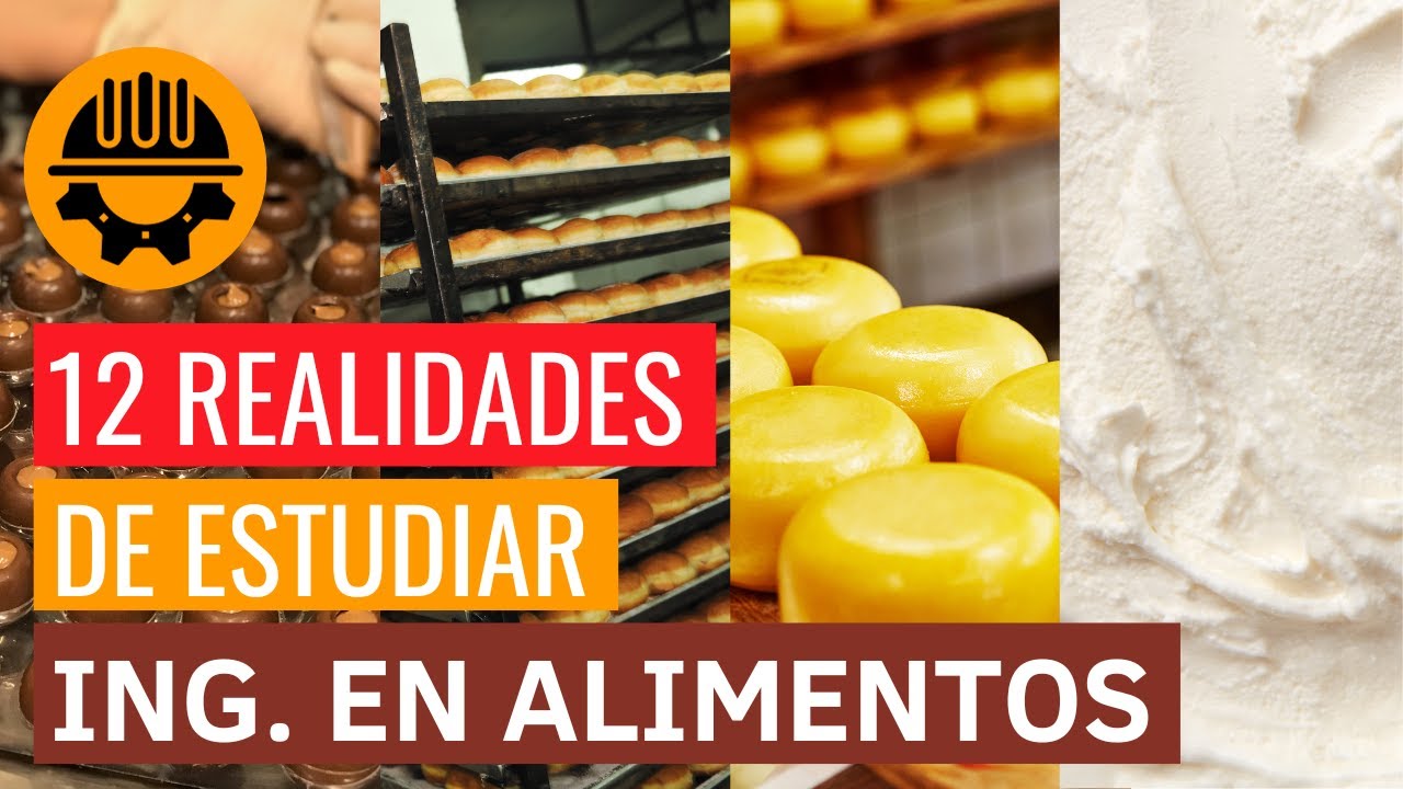 que hace un ingeniero en alimentos