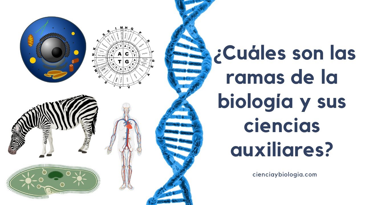 qué son las ciencias auxiliares de la biología