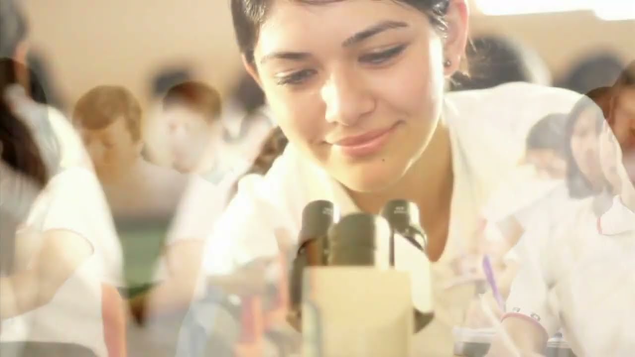 que tipo de bachillerato es el cobao